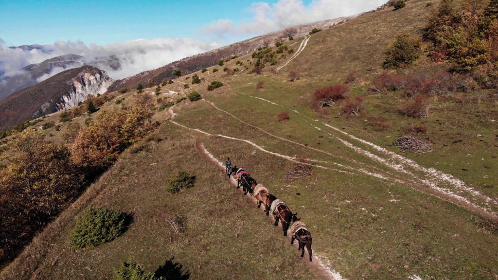 Mountain panorama with a line of mules